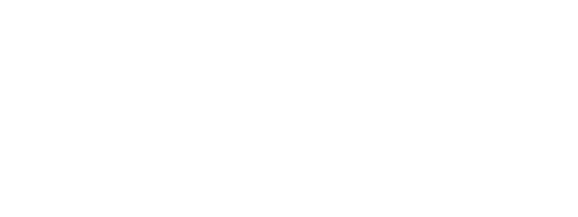 Insight GEO